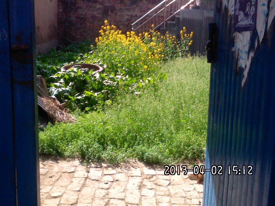 2013893.jpg