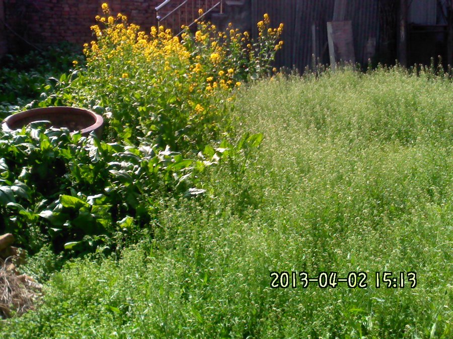2013894.jpg