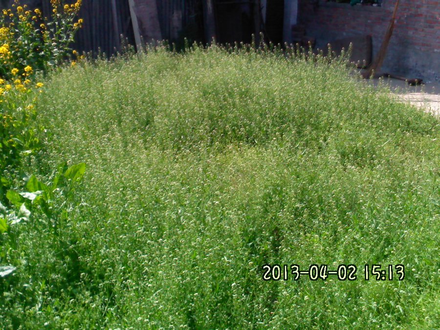 2013895.jpg