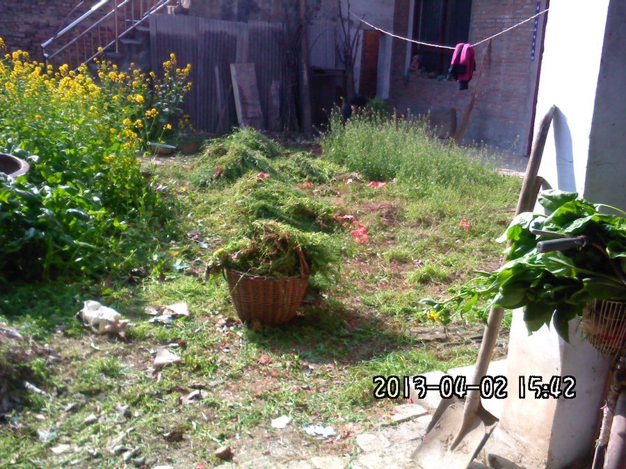 2013908.jpg