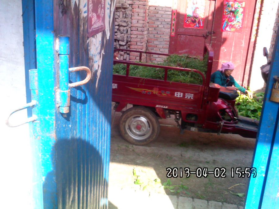 2013909.jpg