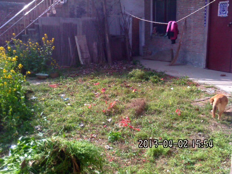 2013910.jpg