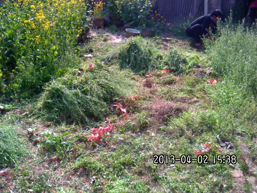 2013907.jpg