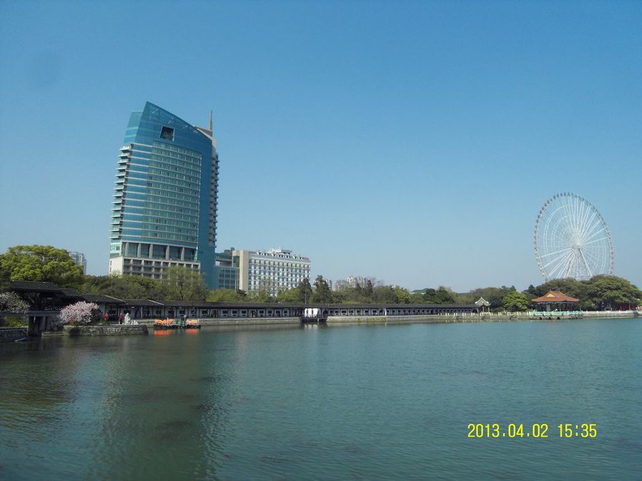 SDC11286.jpg