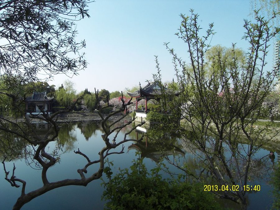 SDC11288.jpg
