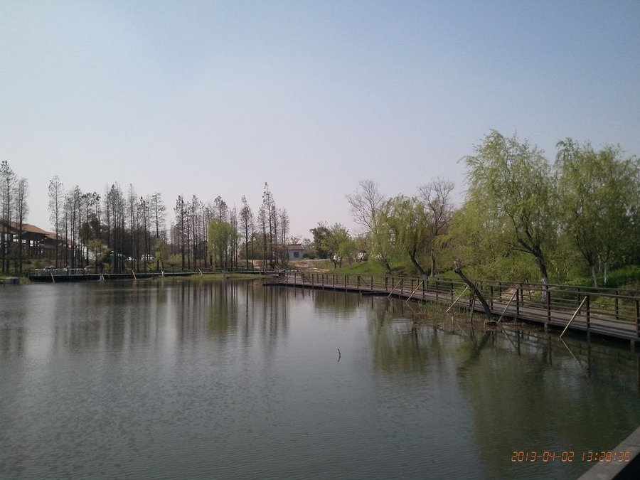 IMG_20130402_132835.jpg
