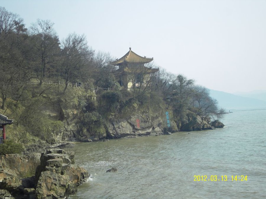 SDC11008.jpg