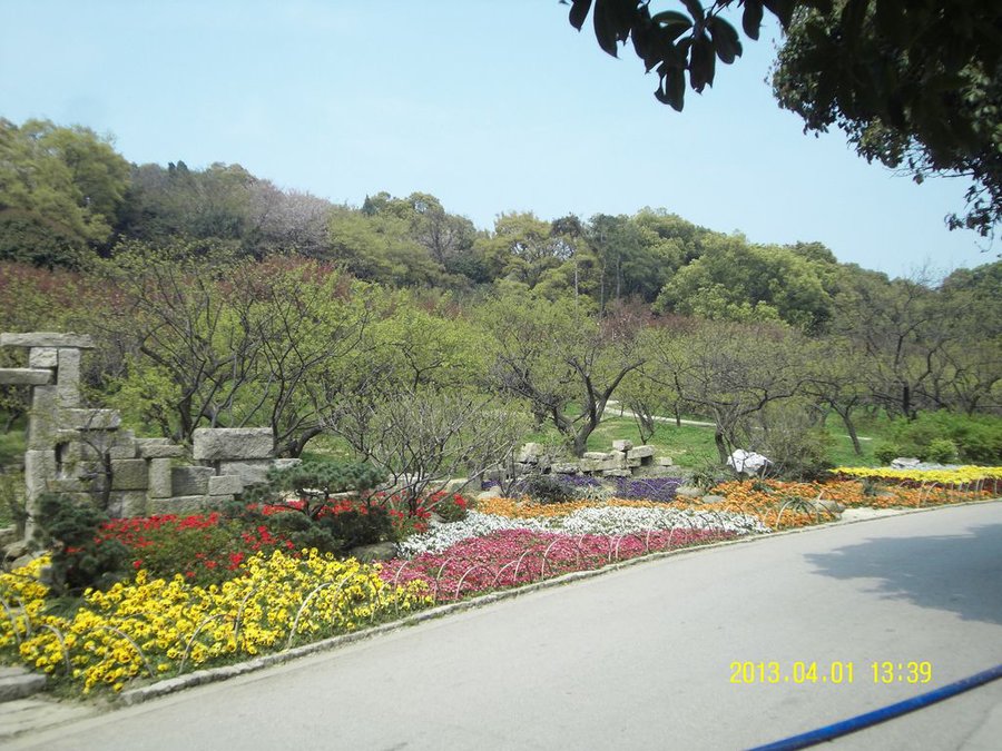 SDC11244.jpg