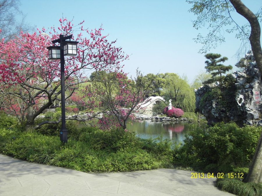 SDC11276.jpg