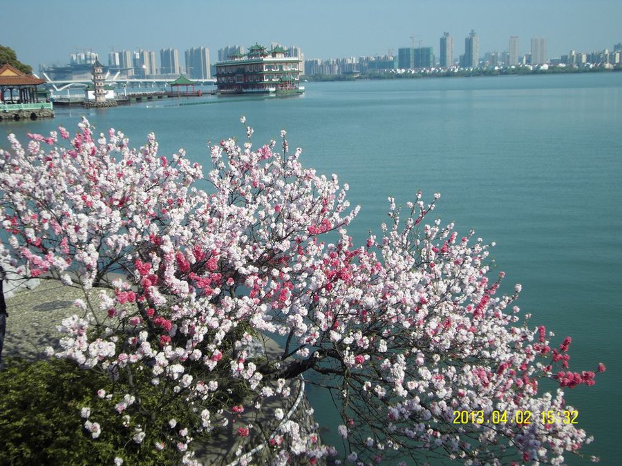 SDC11284.jpg