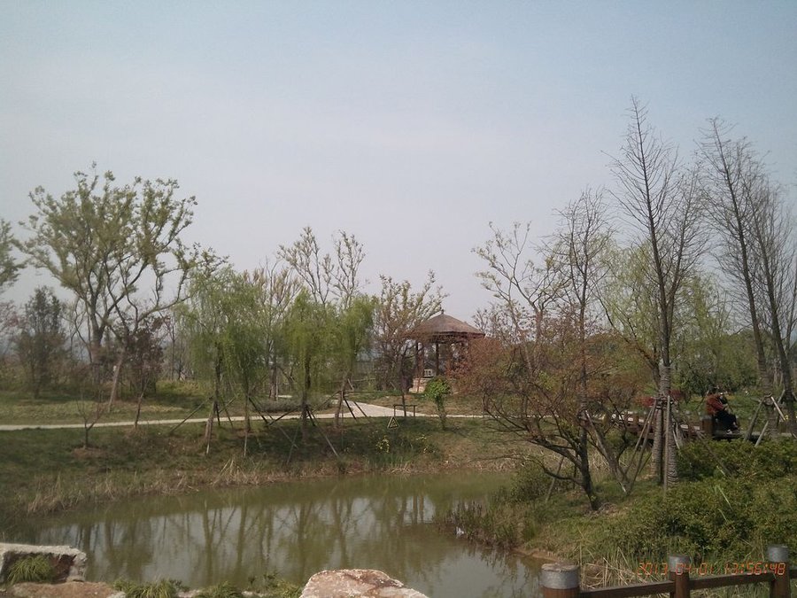 IMG_20130402_132835.jpg