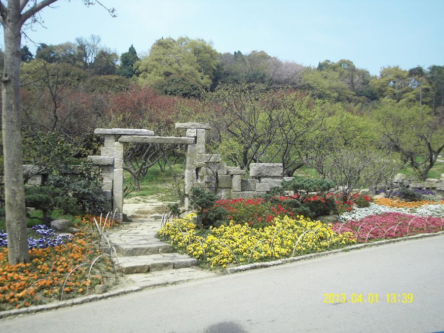 SDC11243.jpg