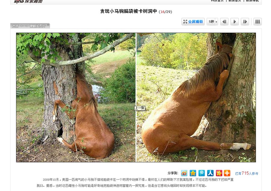 驴卡.png