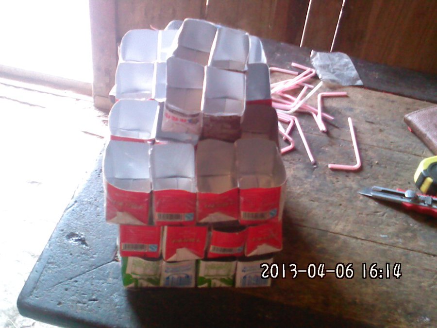 2013955.jpg