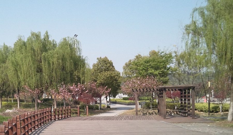 IMG_20130407_145621.jpg