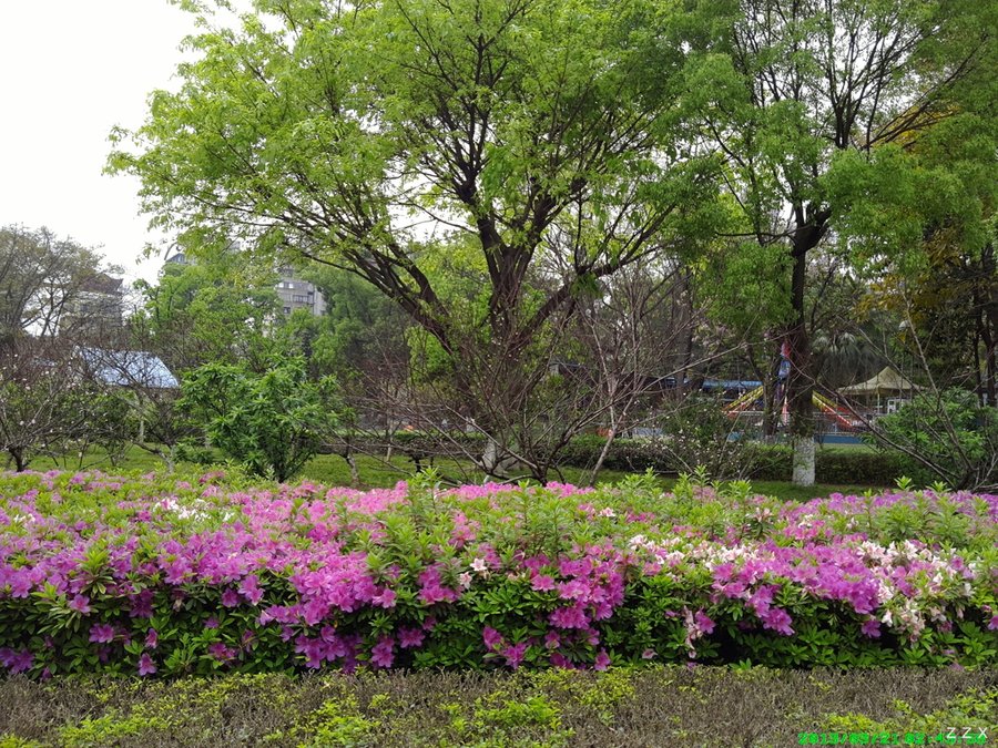 IMG_20130321_144359.jpg