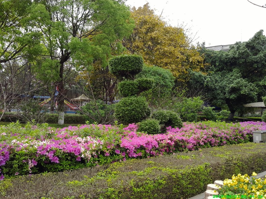 IMG_20130321_144413.jpg