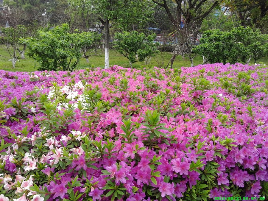 IMG_20130321_150721.jpg