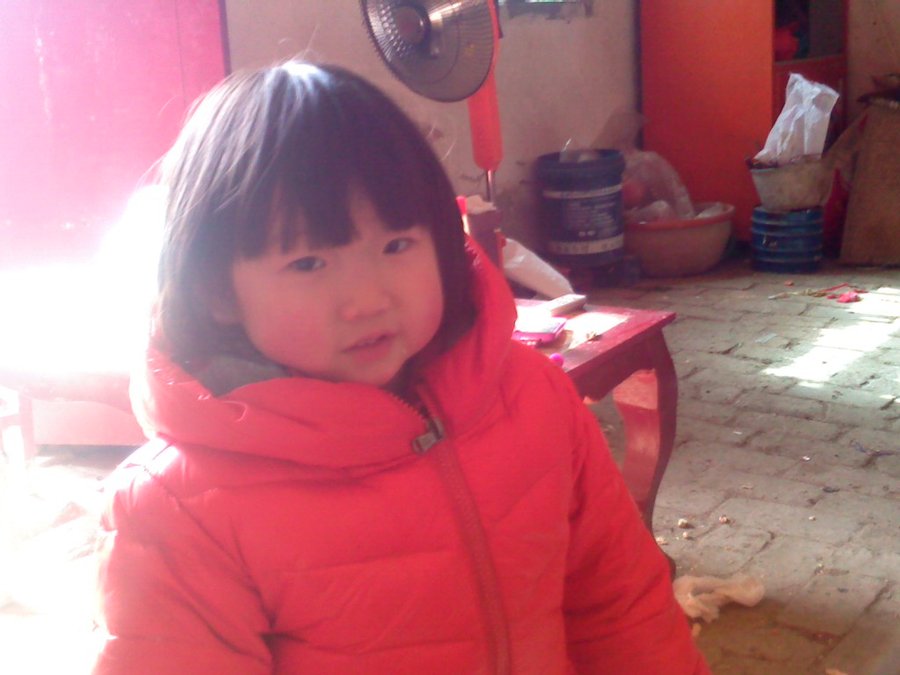 2013500.jpg