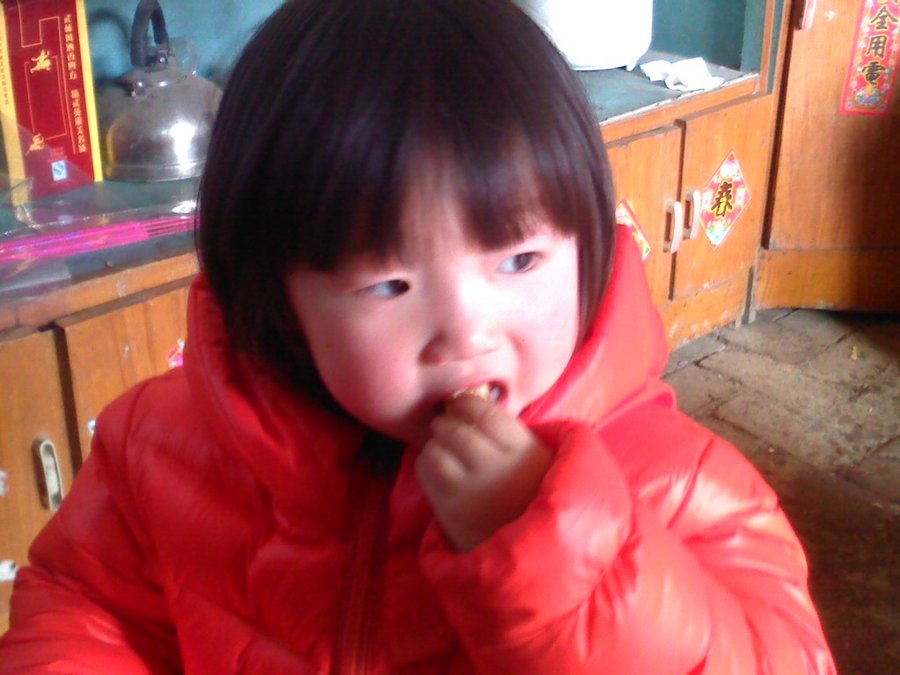 2013528.jpg