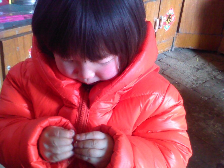 2013529.jpg