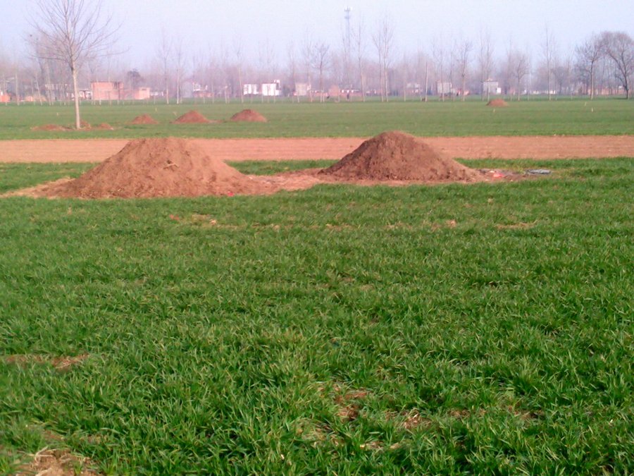 2013504.jpg