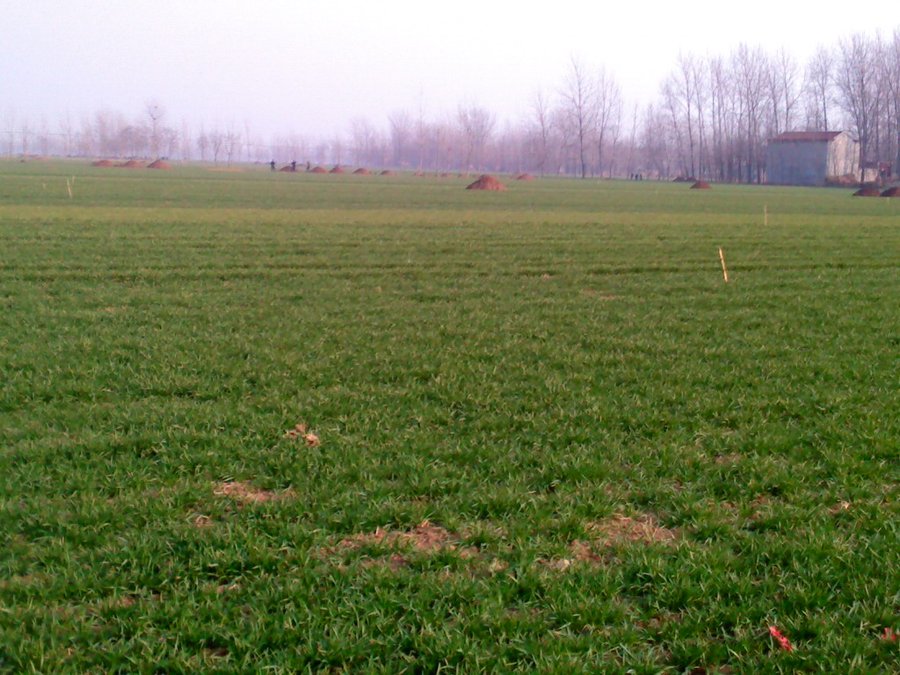 2013505.jpg