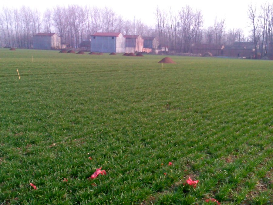 2013507.jpg