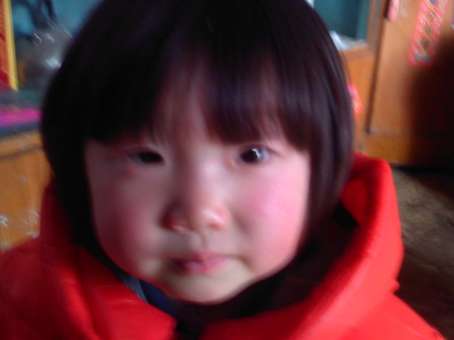 2013526.jpg