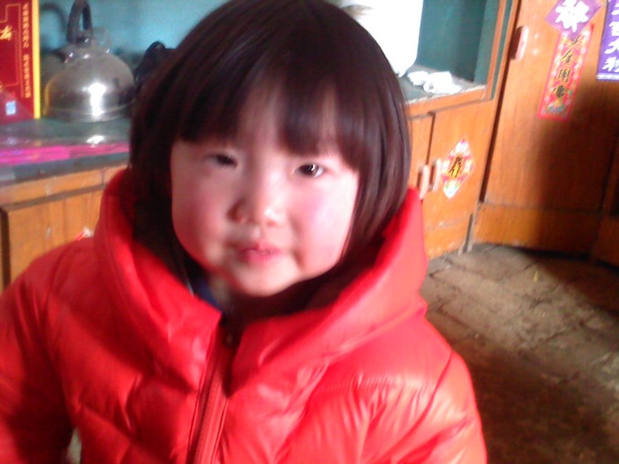 2013527.jpg