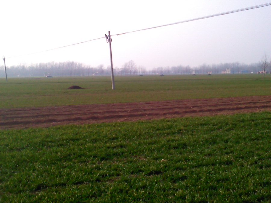 2013518.jpg