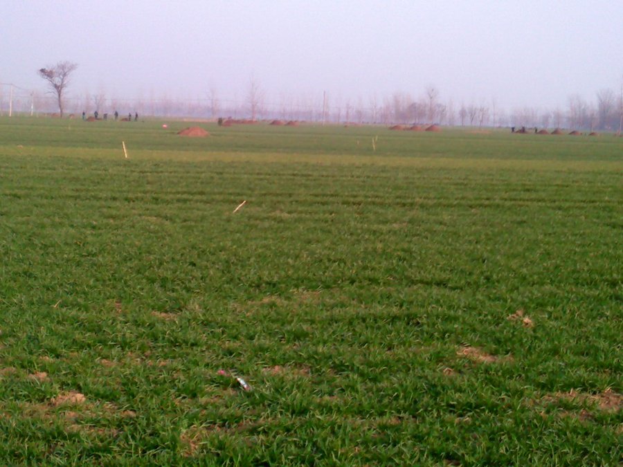 2013508.jpg