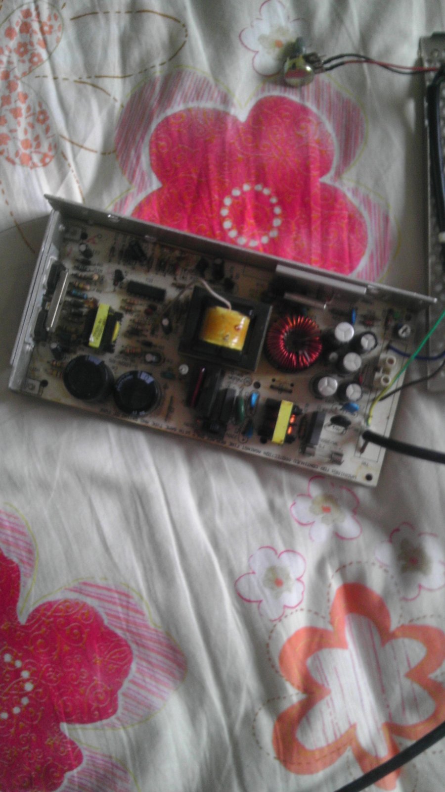 IMAG0168.jpg