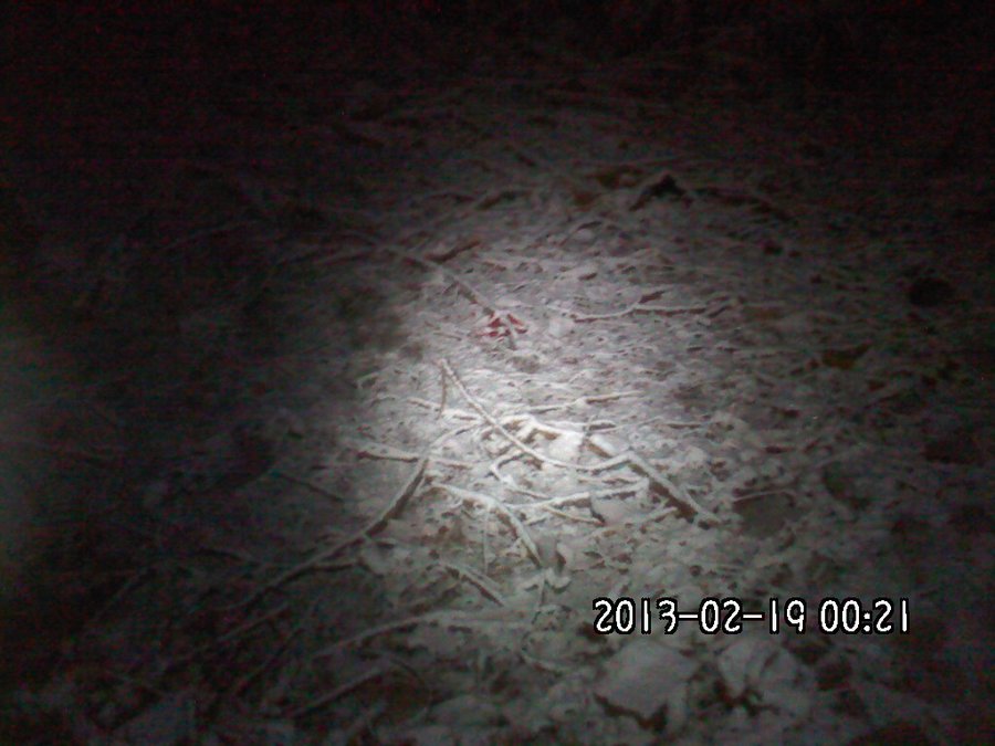 2013669夜里.jpg