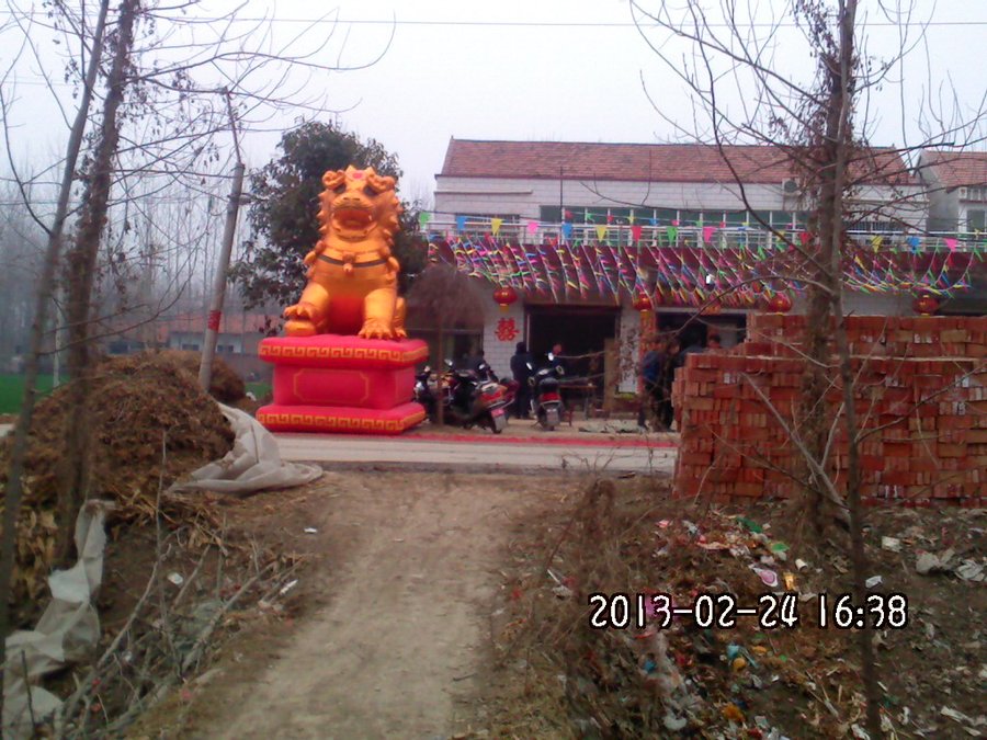 2013740.jpg