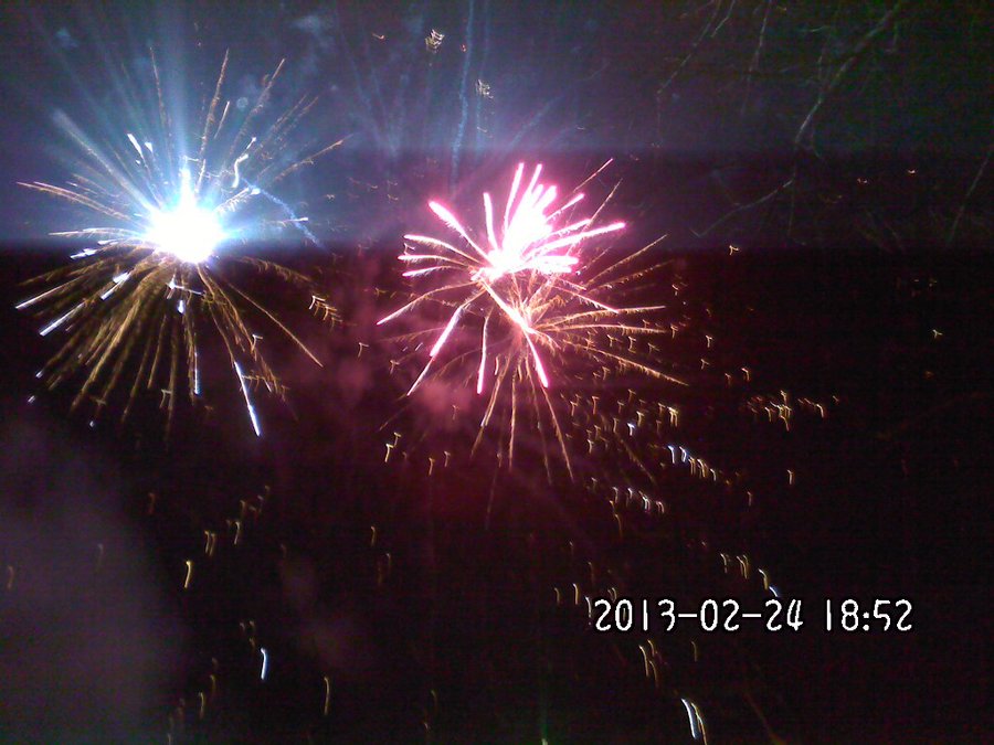 2013811.jpg