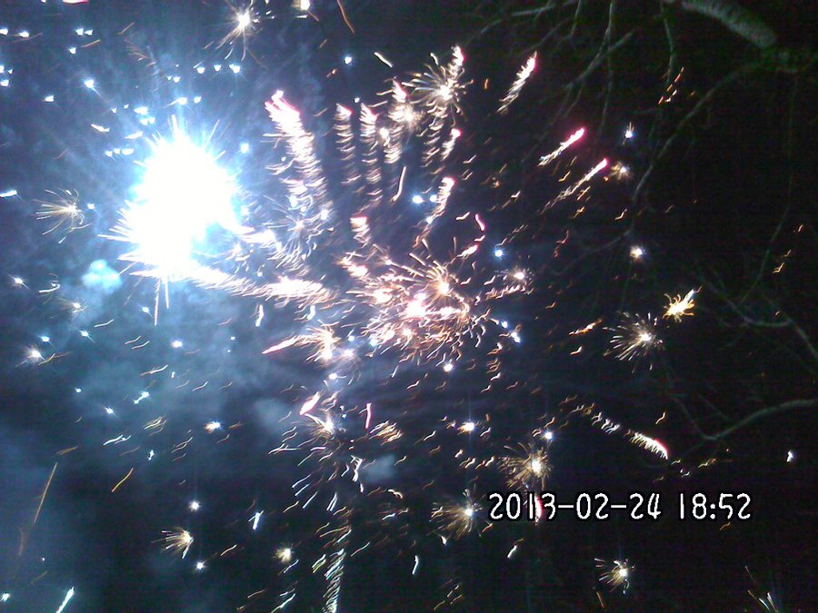 2013812.jpg