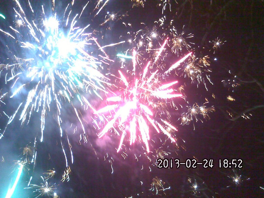 2013813.jpg