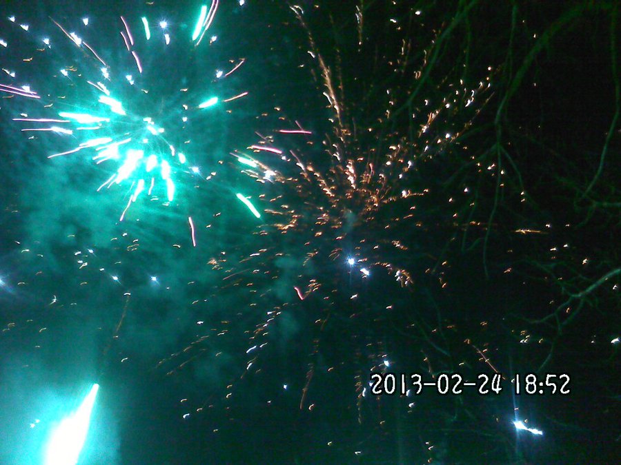 2013814.jpg