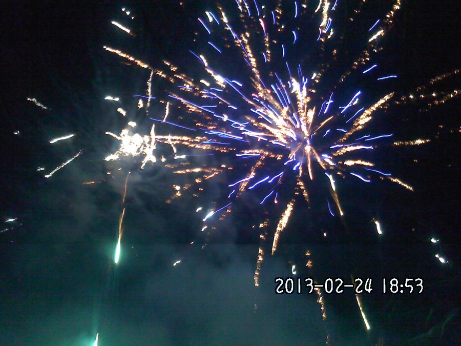 2013819.jpg