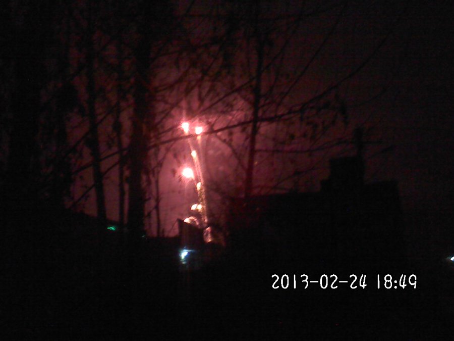 2013795.jpg
