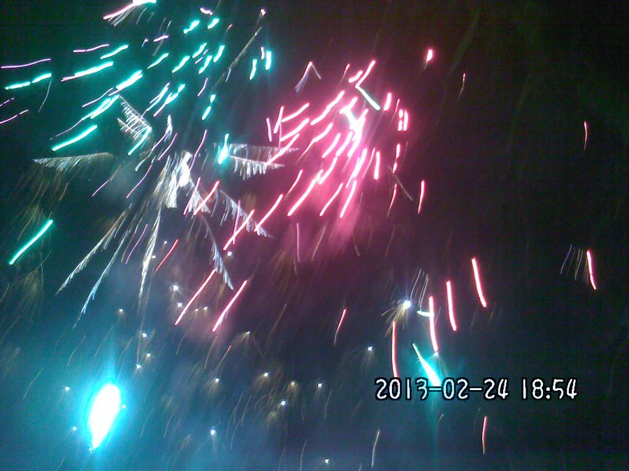 2013829.jpg