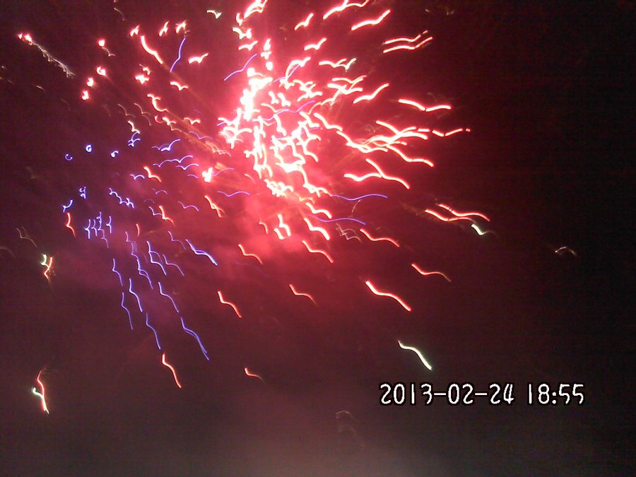 2013837.jpg