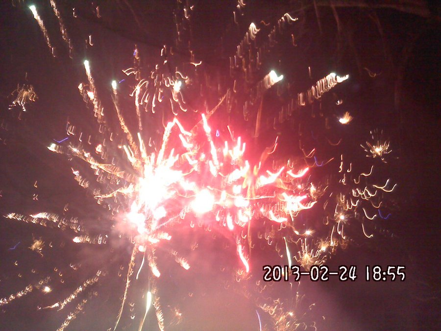 2013842.jpg