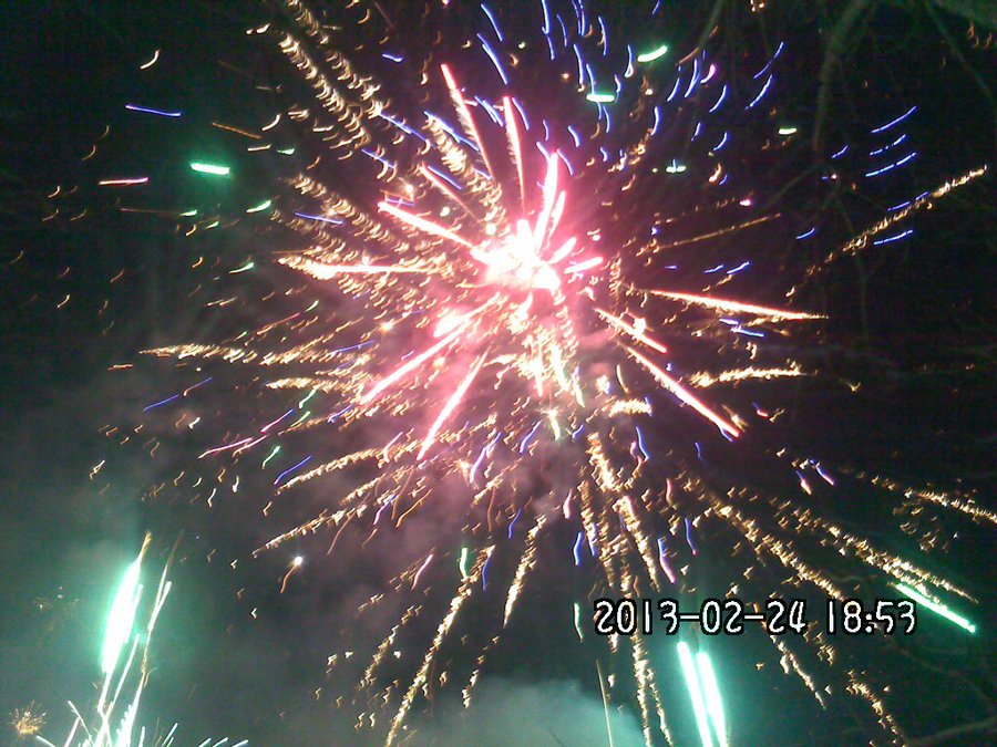 2013822.jpg