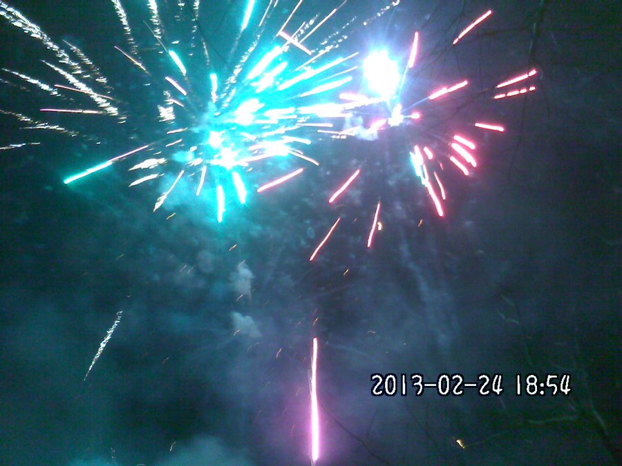2013828.jpg