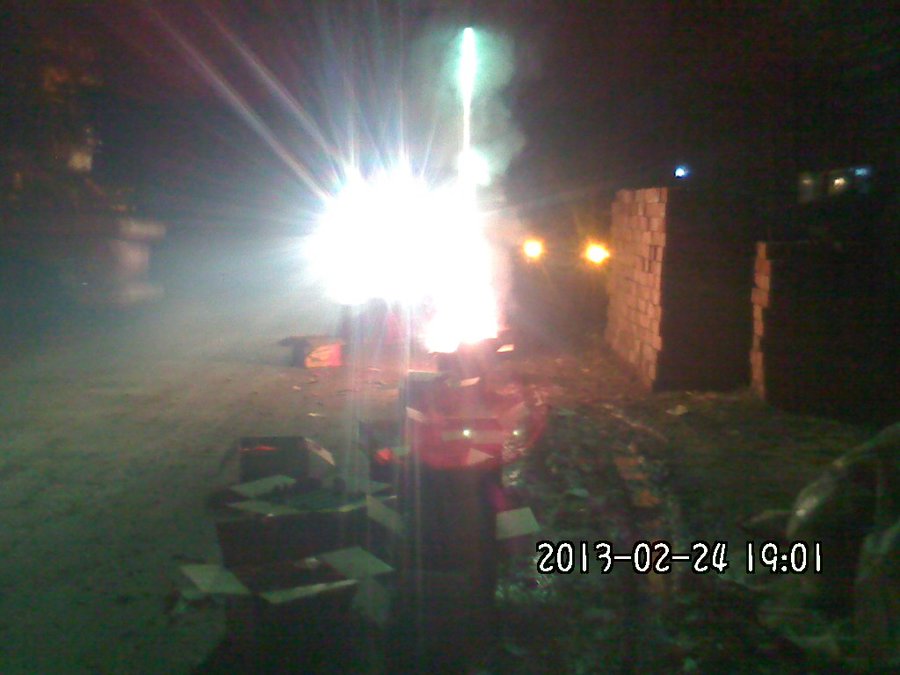 2013868.jpg