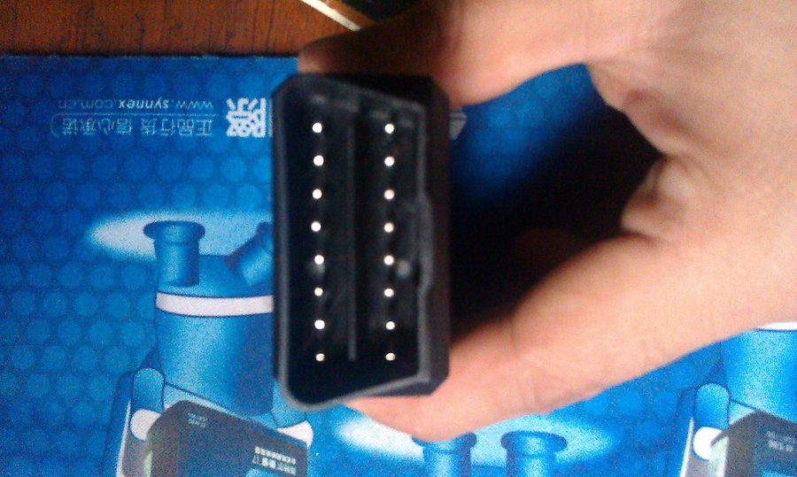 IMAG0244.jpg