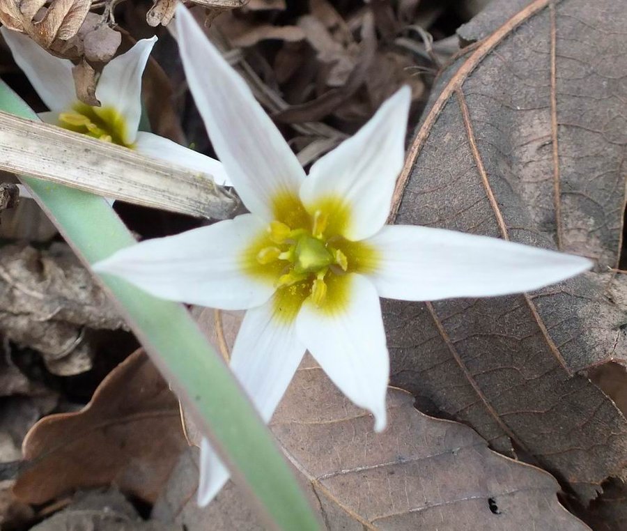 调整大小 DSCF0996.JPG