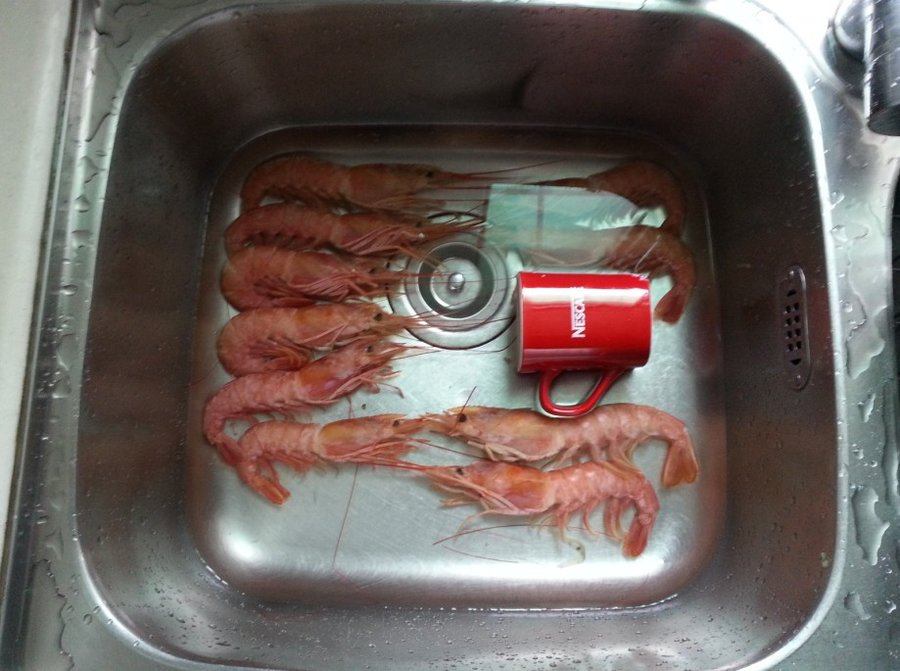 一盘